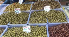 Olive Albania