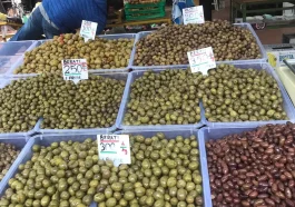 Olive Albania