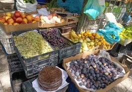 natural products in Albania