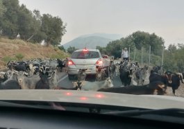 Albania travel road trafic