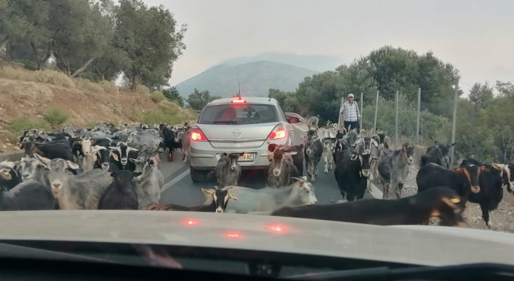 Albania travel road trafic